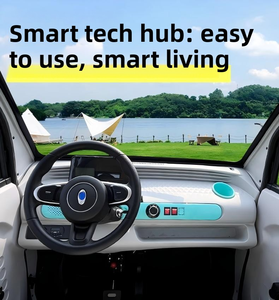 Auto Eléctrico de Alta Calidad, Mini, 2 Puertas, 4 Plazas, Nuevo, con Motor de 1000W, 40km/h, Marca LANGTUO, Volante a la Izquierda, para Uso Familiar - Product Image 5