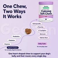 OEM ODM Marque Privée Friandises Apaisantes pour Chiens Saveur Poulet 120 Unités L-Théanine Supplément Anti-Anxiété pour Chiens
