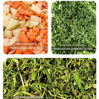 Broyeur de légumes en acier inoxydable pour aliments de volaille, coupe-herbe, broyeur agricole, moulin à aliments pour bétail