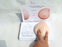 Modelo de Seno de Silicona Patológica para Ciencias Médicas, Producto de Grado Alimenticio, Modelo 3D para Prácticas de Examen de Senos, CE/ISO