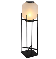 Lampes solaires LED d'extérieur, IP65, étanches, en acier inoxydable, avec télécommande, éclairage chaud 3000K, décoration de jardin