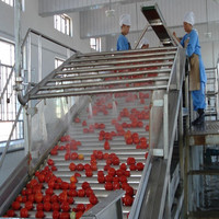 Tomatenpureemachine voor fruit & groente, automatische roestvrijstalen productielijn met hoge capaciteit, van concentraat naar productie.