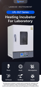 Incubateur thermostaté de laboratoire série Laboao LPL-DLT pour la <span class=keywords><strong>culture</strong></span> biologique - Product Image 2