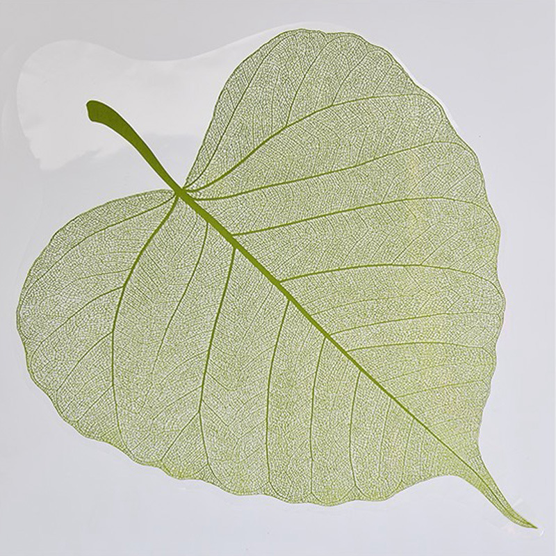 4-Vert