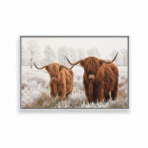 Highland Cow Canvas Print: Elegant Farmhouse Wall Art,WHITE <b>FRAMED</b> CANVAS - Product Image 2