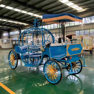 2025 Carrosse électrique de princesse à 4 roues, couleur personnalisée, bleu avec bande lumineuse, pour le tourisme, à vendre - Product Image 5