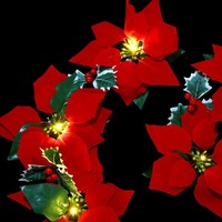 Guirnalda de Poinsettia Navideña de 2/3/4 m, Flor Artificial, Cadena de Luces Navideñas, Decoración Navideña para Interiores/Exteriores, Navidad, Noel
