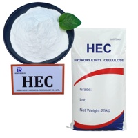 Bubuk HEC Industri Hidroksi Etil Selulosa Kemurnian Tinggi 99,9% untuk Cat Kosmetik Deterjen Agen Pengental 25kg/karung