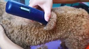 Vente flash : Tondeuse à poils électrique professionnelle pour chats et chiens, rechargeable par USB, avec écran LCD, écologique, avec 1 pièce 10 #   lame - Product Image 5