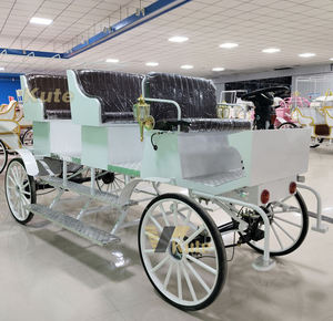 Carroza Eléctrica de Turismo de Bajo Consumo, Fácil Mantenimiento, para Operación Diaria Prolongada - Product Image 4