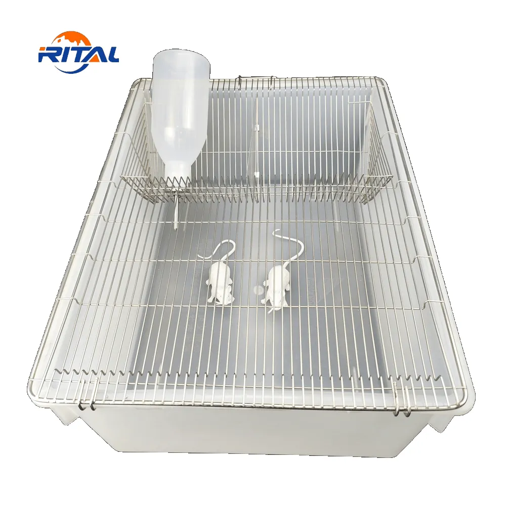 Caja de polipropileno para laboratorio, jaula de alta calidad para cría de ratones y roedores