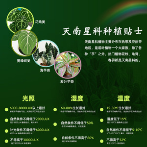Crai Araceae – Substrat spécial hautement nutritif en granulés pour plantes d'intérieur - Product Image 5