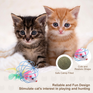 Jouets colorés pour chats : Cages en fil métallique avec plumes, en PP durable, pour l'auto-entretenement des chats et le jeu interactif - Product Image 3