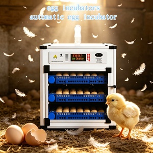 Incubateur d'œufs de poulet entièrement automatique avec contrôle intelligent de la température pour l'éclosion des œufs de volaille - Product Image 1