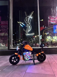 Motocicleta Todoterreno de Dos Ruedas, 24V, Arranque Eléctrico, Mini Moto Eléctrica para Niños y Adultos, Motocicleta Todoterreno Eléctrica para Niños - Product Image 2