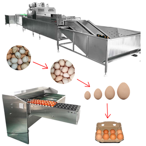 Limpiadora de Huevos Automática de 3000-50000 Piezas/h, Máquina Comercial para Lavar Huevos - Product Image 4