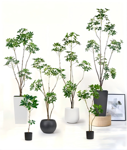 El Fabricante Tiene un Fuerte Impulso de Ventas para los Modelos de Exhibición de Alta Gama para Interiores, Planta Artificial Schefflera - Product Image 2