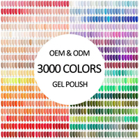 Vente en gros de vernis à ongles classique populaire 3000 couleurs salon vernis à ongles gel UV mode rouge rétro rouge OEM LOGO marque privée