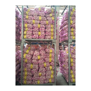 <span class=keywords><strong>Ail</strong></span> d'<span class=keywords><strong>éléphant</strong></span> de plus grande taille <span class=keywords><strong>Ail</strong></span> sec biologique Paquet personnalisable <span class=keywords><strong>Ail</strong></span> blanc pur vers l'Amérique du Sud - Product Image 1