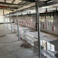 Volaille Poulet Abattoir Équipement de Machine de Ligne de Traitement Automatique À Vendre De L'abattage Halal