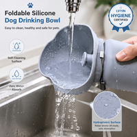 Nouveau produit transfrontalier : Gamelle et abreuvoir pliables en silicone pour chien, idéales pour les voyages en extérieur