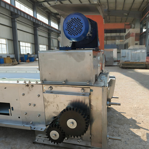 Nuovo Sistema di Raccolta e Trasporto Automatico del Letame Avicolo con Nastro Trasportatore e Struttura in Acciaio - Product Image 3