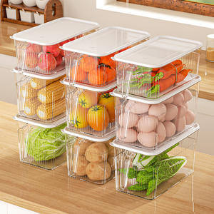 กล่องเก็บอาหารพลาสติกใสสีขาวทันสมัย พร้อมฝาปิดและหูจับ ผลิตด้วยวิธีฉีดขึ้นรูป สำหรับเก็บผักผลไม้ในตู้เย็น - Product Image 3