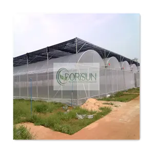 大型测地线圆顶Co2传感器紫外聚丙烯薄板经济隧道蔬菜塑料温室