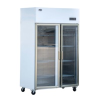 Congélateur vertical à deux portes en acier inoxydable, congélateur électrique à double porte pour usage domestique, fournisseur fabricant