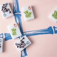 Tuiles de mahjong en acrylique, ensemble de mahjong américain bleu clair glacé, motifs floraux orientaux poisson koi, lotus, pivoine, vase en bambou