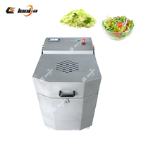 200kg/uur Wasmachine voor paarse kool, fruit, maïs en groentesalades met SUS 304 motor