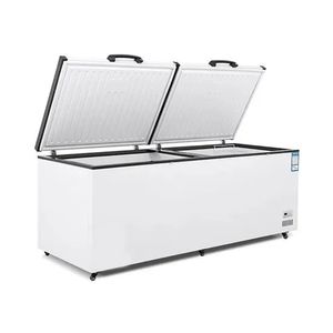 Congeladores Horizontales, Refrigeradores y Almacenamiento en Frío, Congeladores Profundos en Venta, Refrigerador para Supermercado - Product Image 2