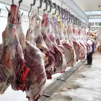 Abattoir modulaire pour l'abattage du bétail, équipement pour mini-abattoir