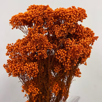 Bouquet de fleurs éternelles naturelles séchées, fleurs de millet préservées, pour mariage, fête, décoration intérieure, fête des mères