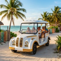 Vente en gros de voitures électriques classiques antiques personnalisées à 8 places, batterie au lithium, 30 km/h, bus touristique rétro vintage, prix d'usine, OEM ODM