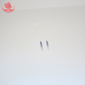 Portaobjetos de mitosis celular de sección longitudinal de punta de raíz de cebolla para observación sincrónica de células en biología de secundaria - Product Image 3