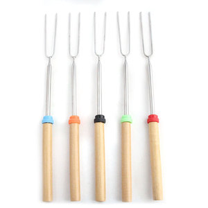 Pinchos Telescópicos Extensibles <span class=keywords><strong>para</strong></span> Asar <span class=keywords><strong>Carne</strong></span> de Malvavisco, Tenedor de Barbacoa de Acero Inoxidable, Pincho <span class=keywords><strong>para</strong></span> Barbacoa - Product Image 1