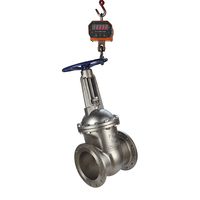Vanne de porte d'étanchéité hydraulique, 1 pièce, DIN DN300 201 16P