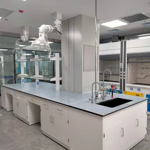 Banco da lavoro dell'isola della tabella della parete del laboratorio della mobilia del laboratorio di scienza con l'attrezzatura di laboratorio del lavandino da vendere