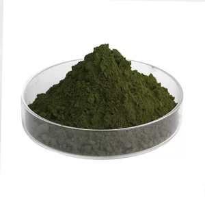 Pasokan pabrik bubuk Nannochloropsis berkualitas tinggi-100% bubuk microalga murni untuk suplemen kesehatan bubuk Nannochloropsis Salina - Product Image 1
