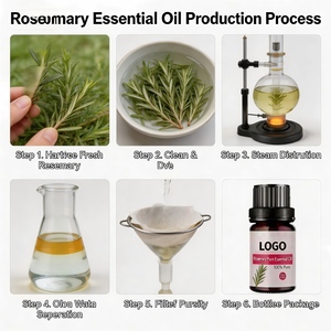 Aceite Esencial de <span class=keywords><strong>Romero</strong></span> 100% Puro, Destilado al Vapor, 10 ml, <span class=keywords><strong>Aromaterapia</strong></span> para Productos de Cuidado de la Piel, para Todo Tipo de Piel, Venta al Por Mayor - Product Image 3