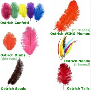 Plumes d'autruche naturelles brutes en gros, blanches, 14-16'' (35-40 cm), pour centre de table de mariage, costumes de carnaval, vêtements - Product Image 5