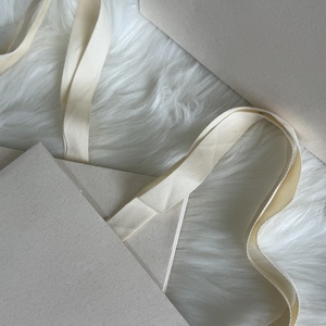 Custom Luxury Pearl Paper Silver Foil <b>Bag</b> with Ribbon Handle Reusable for Promotion Food & Cosmetic <b>Packaging</b> Crafts - Product Image 4