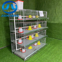Cage à poulets de type H galvanisée robuste avec cadre renforcé et sol en plastique pour l'élevage avicole