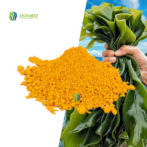 ผงฟูโคแซนธินจากพืช สารสกัดจากสาหร่ายวาคาเมะคุณภาพสูงจาก SLBIO - Product Image 3