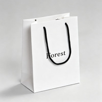 Sacs cadeaux de luxe personnalisés de haute qualité, sacs en papier pliables écologiques pour mariage et shopping, conception gratuite