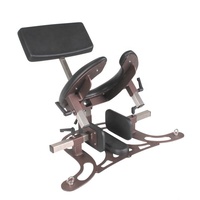 Chaise SM pour facesitting, d'entraînement érotique, pour esclave de toilette, pour humiliation à l'eau bénite dorée, pour stimulation intense de la vulve par léchage, chaise BDSM, chaise sexuelle