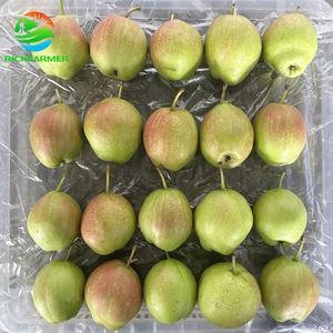 Peras Dulces Frescas para Exportación, Variedades Ya / Crown / <span class=keywords><strong>Anjou</strong></span> Disponibles, Suministro al por Mayor para Minoristas e Industria Alimentaria - Product Image 5