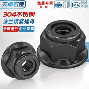 Flange Lock Nut 304 Stainless Steel Black M3 To M16 With Washer For Rail Transit Equipment - Product Image 3