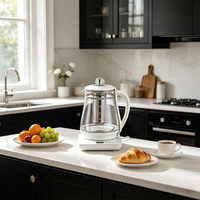 Bouilloire Électrique en Verre Borosilicate Naturel Sain, Multifonction, Double Paroi, pour une Cuisine Saine